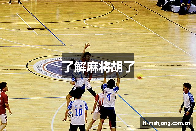 了解麻将胡了